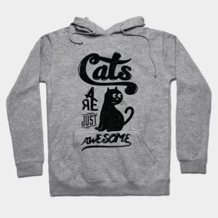 cats are just awesome Hoodie